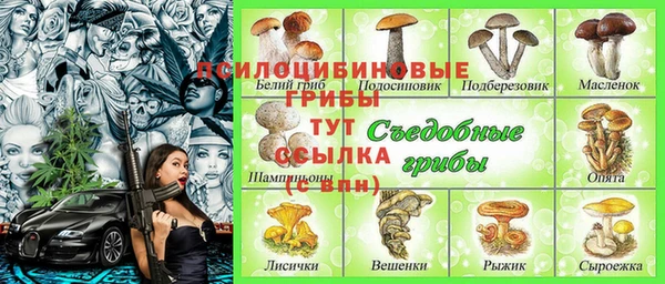 ALPHA-PVP Алексеевка