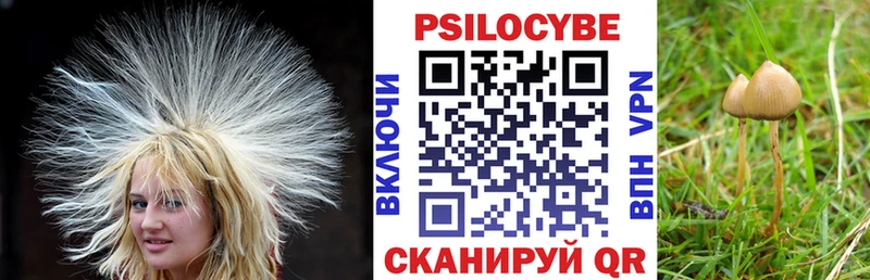 Псилоцибиновые грибы ЛСД Артёмовский